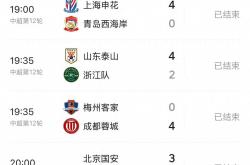 开云体育-国安客场力克重庆，积分追赶中超前四的简单介绍