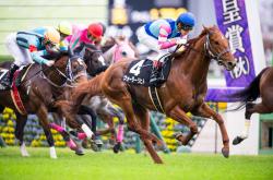 开云体育登录-包含马赛球队在赛季中的表现如何的词条