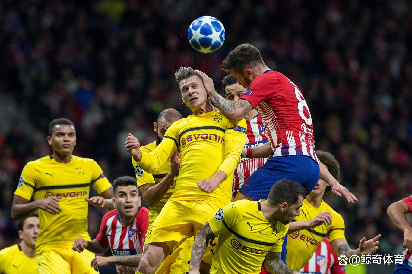 法兰克福对战多特蒙德的期待 法兰克福对战多特蒙德的期待