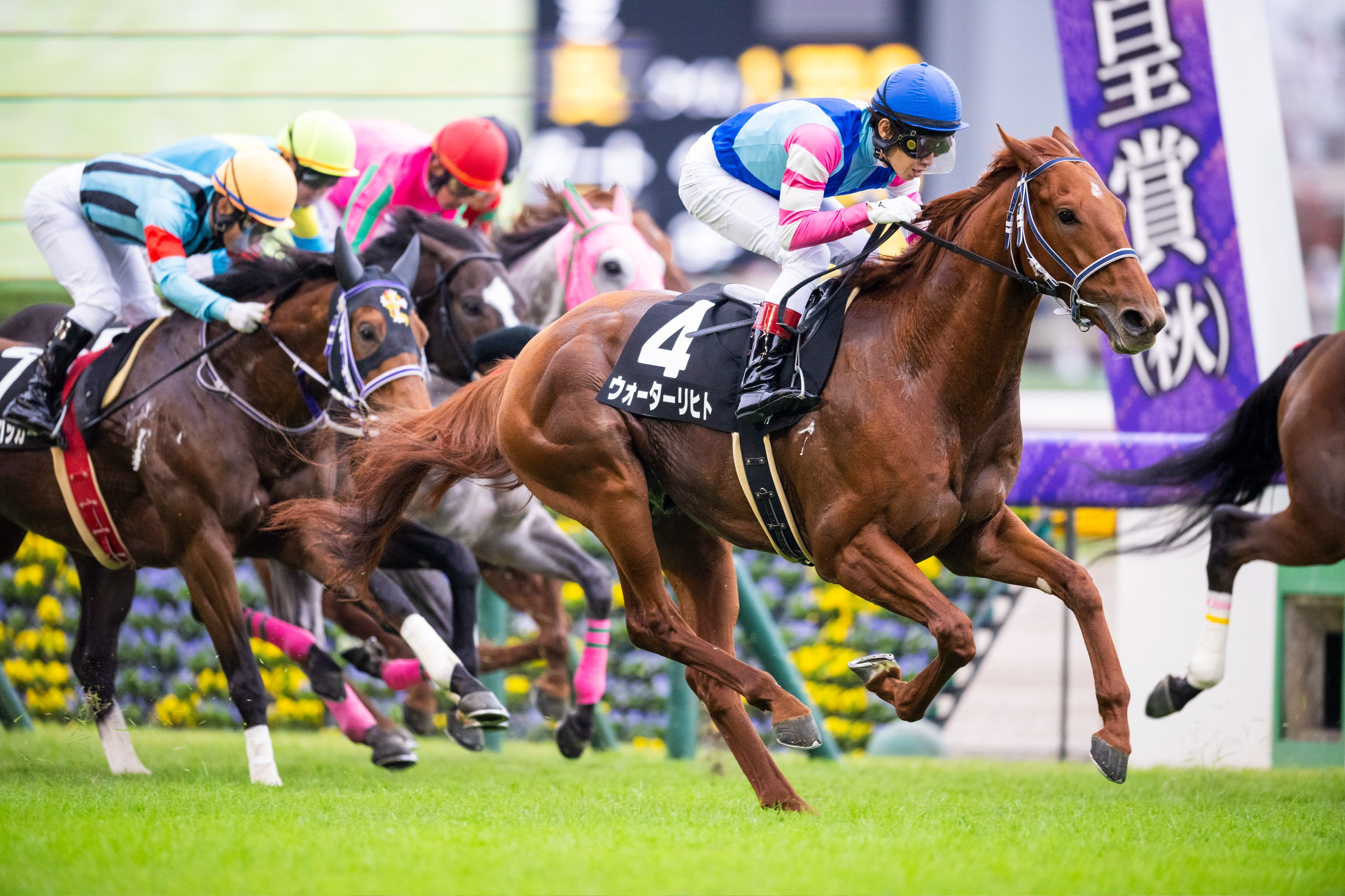 包含马赛球队在赛季中的表现如何的词条 包含马赛球队在赛季中的表现如何的词条